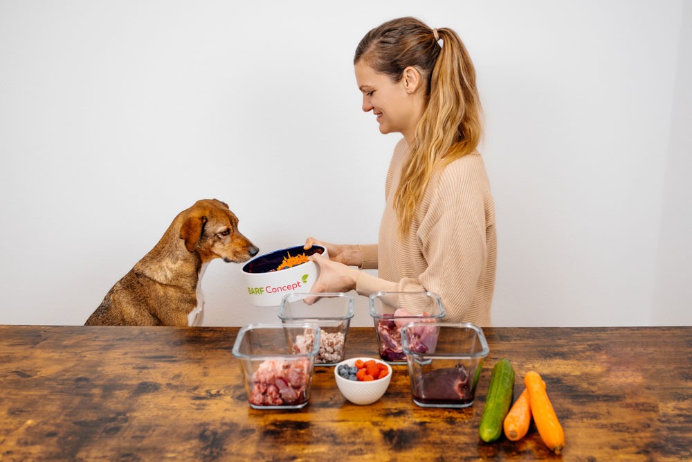 BARF Hunde Ernährungsberaterin Teresa sitzt vor Tisch mit Hündin, auf dem Tisch verschiedene Lebensmittel für BARF Futter